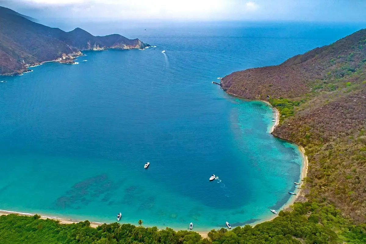 La bahía de Cinto, con la vegetación bajando hasta la arena